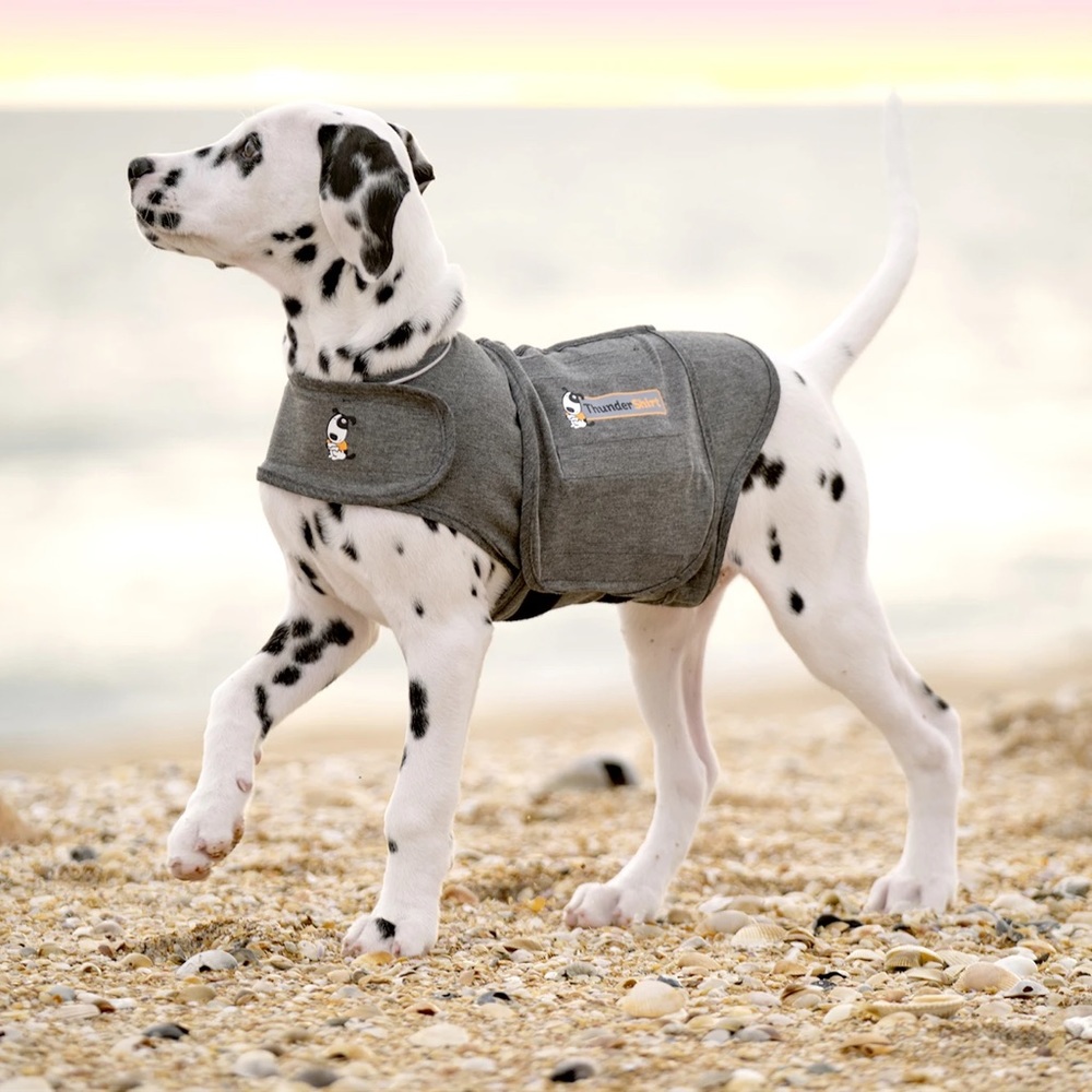 THUNDERSHIRT